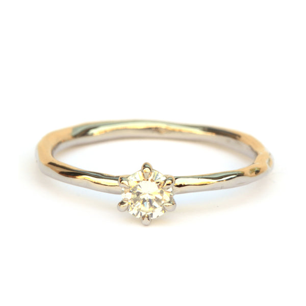 Witgouden Diamant Solitair