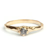 Ring Lilly met galaxy diamant