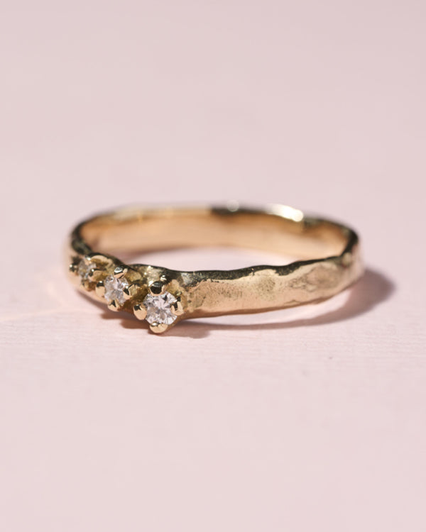 Ring Anemone