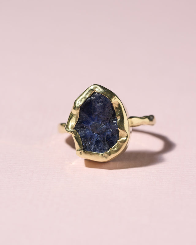 Witgouden ring met saffier | Juwelier De Tijd