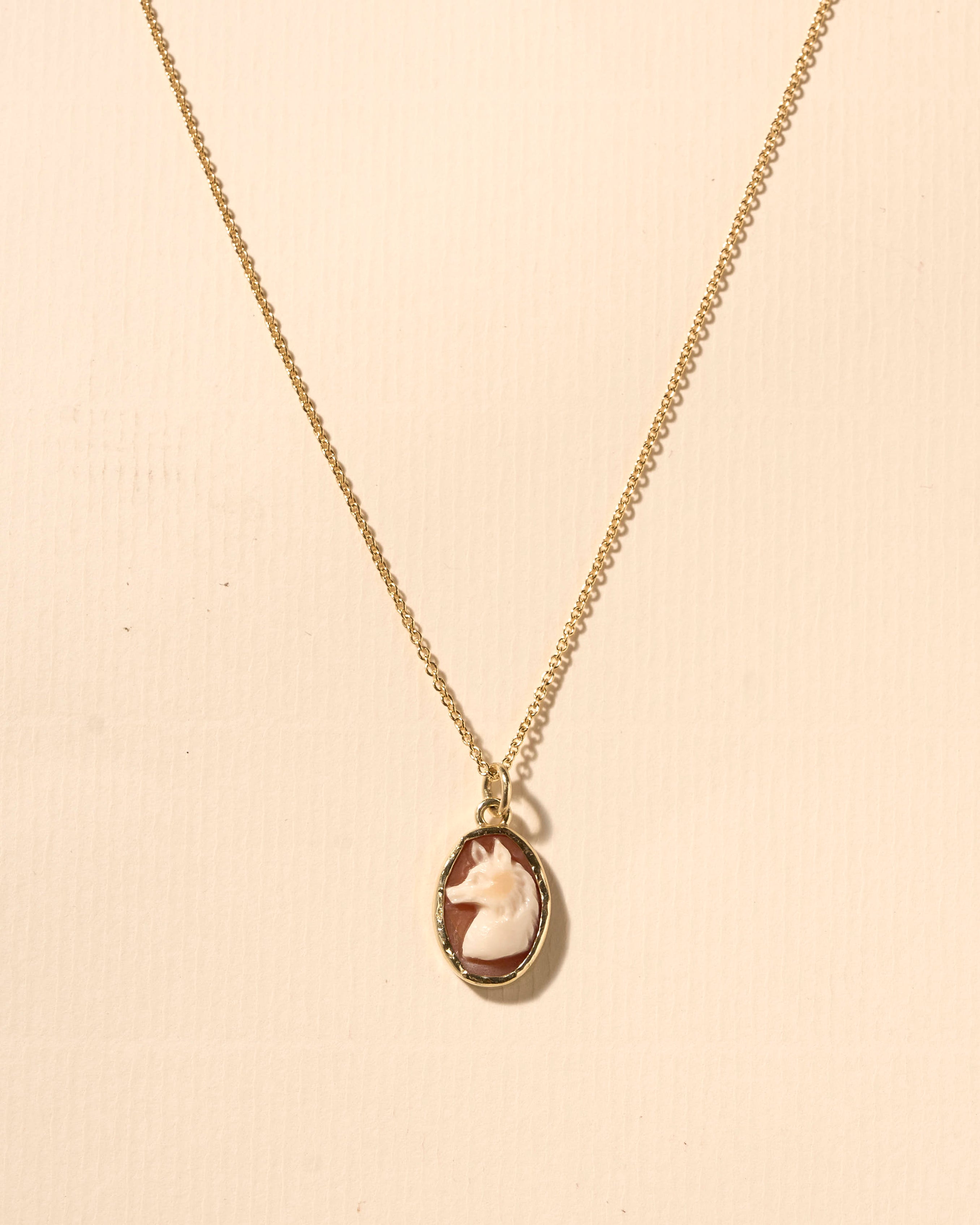 UNSHINEBAR Dinosaurus ketting met hanger voor heren en dames