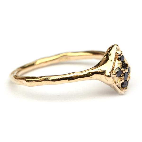 Ring Briënne